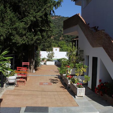 Apartamento Guadiaro 3 Ainhoa Benaoján Eksteriør bilde